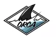 изображение раздела надувные лодки orca (орка) нднд