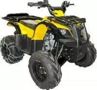 Квадроцикл IRBIS ATV125