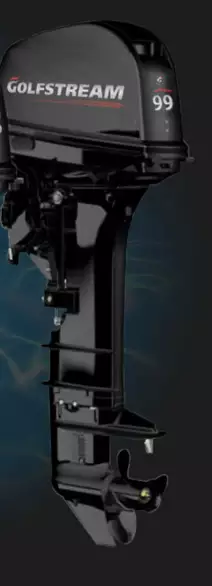 Внимание новый мотор Golfstream T9.9 BMS PRO!
