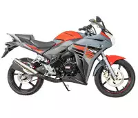 Мотоцикл Racer RC300CS Skyway