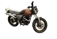 Мотоцикл Racer RC250CK-A Triumph