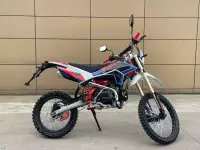 Питбайк X-MOTOS 140 19/16 COLOR