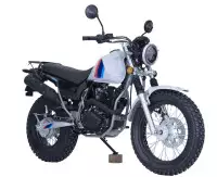 Мотоцикл SCOUT TW250 PR300