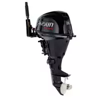 Подвесной лодочный мотор Parsun F20ABWS-EFI
