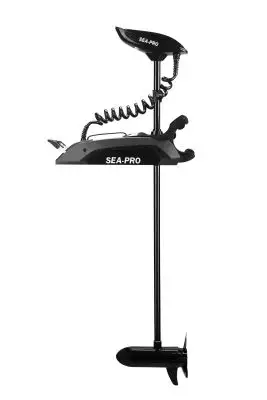 детальная картинка товара электромотор sea-pro 65l gps черный