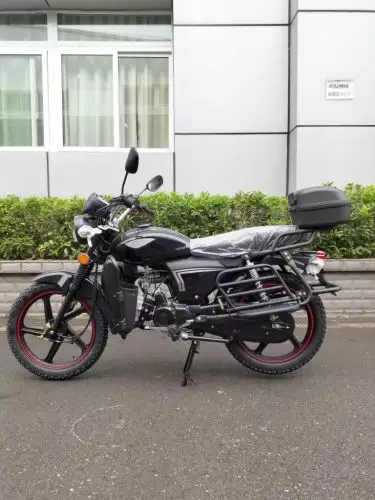 детальная картинка товара мопед raid 110 (49)