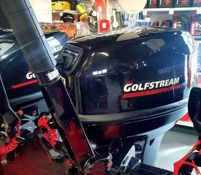 Подвесной лодочный мотор Golfstream TE9,9 ENDURO купить с доставкой, в наличии