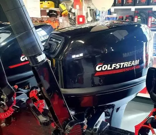 Подвесной лодочный мотор Golfstream TE9,9 ENDURO купить с доставкой, в наличии