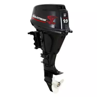 Лодочный мотор F9.9AFWS Enduro EFI (Parsun – PRO) в наличии, купить со скидкой, описание Лодочный мотор F9.9AFWS Enduro EFI (Parsun – PRO) купить с доставкой, в наличии