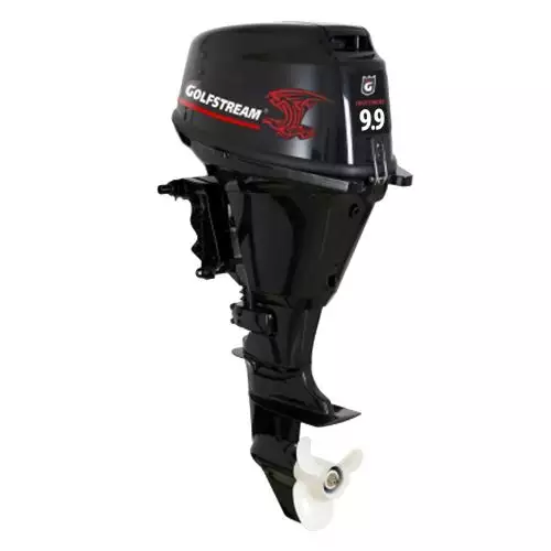 Лодочный мотор F9.9AFWS Enduro EFI (Parsun – PRO) купить с доставкой, в наличии