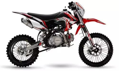 детальная картинка товара питбайк progasi smart 150