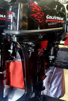 Подвесной лодочный мотор Golfstream TE9,9 ENDURO купить с доставкой, в наличии