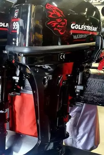 Подвесной лодочный мотор Golfstream TE9,9 ENDURO купить с доставкой, в наличии