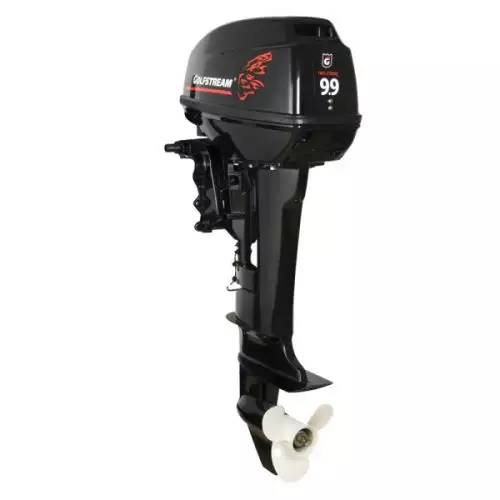 Подвесной лодочный мотор Golfstream T9.9FWS PRO купить с доставкой, в наличии