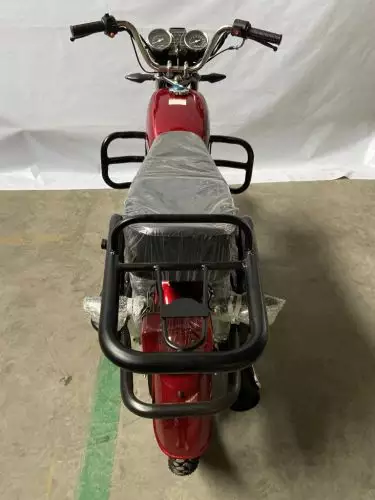 детальная картинка товара мопед flash 110 (49)