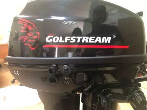Подвесной лодочный мотор  Golfstream T9.9 BMS USB купить с доставкой, в наличии