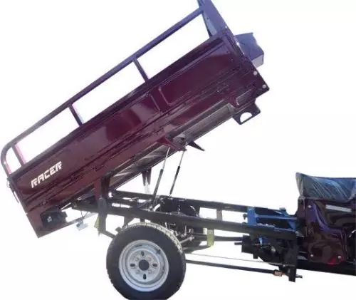 детальная картинка товара мотоцикл racer muravei rc200zh