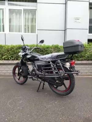 детальная картинка товара мопед raid 110 (49)