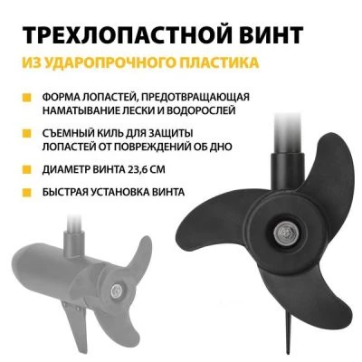 детальная картинка товара электромотор haswing osapian 55 lbs