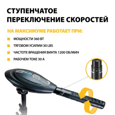 детальная картинка товара электромотор haswing osapian 30 lbs