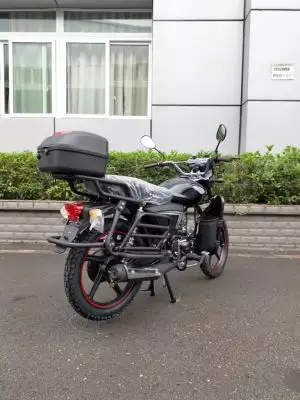 детальная картинка товара мопед raid 110 (49)