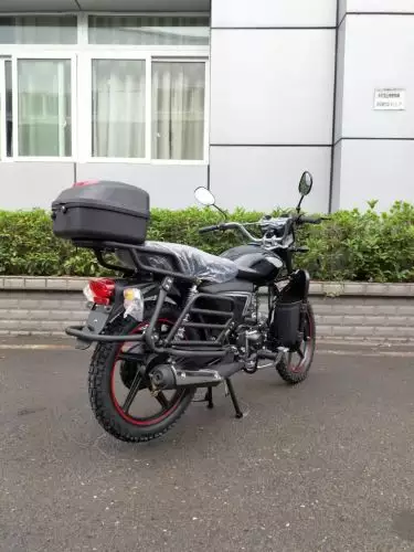 детальная картинка товара мопед raid 110 (49)