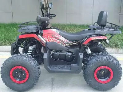 детальная картинка товара квадроцикл racer rc 200 gladiator