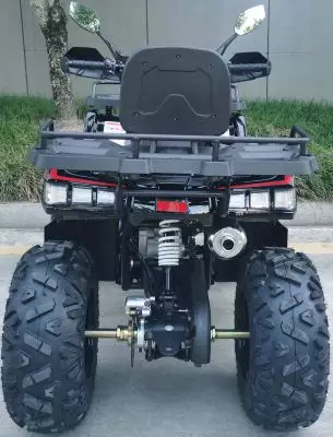 детальная картинка товара квадроцикл racer rc 200 gladiator