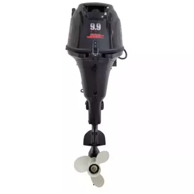 Подвесной лодочный мотор Parsun F9.9AFWS-EFI PRO купить с доставкой, в наличии