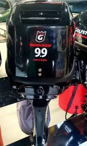 Подвесной лодочный мотор Golfstream TE9,9 ENDURO купить с доставкой, в наличии