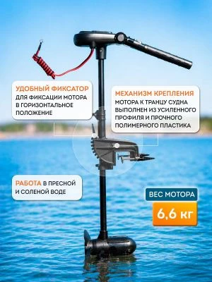 детальная картинка товара электромотор haswing protruar 1.0, 65lbs - 900 мм