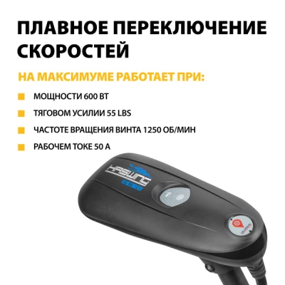 детальная картинка товара лодочный электромотор haswing cayman-b 55 gps / 12v / 152 см