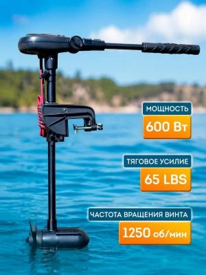 детальная картинка товара электромотор haswing protruar 1.0, 65lbs - 660 мм