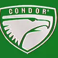 изображение раздела моторы condor (кондор) изображение раздела моторы condor (кондор)