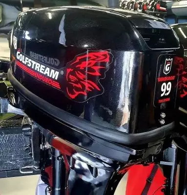 Подвесной лодочный мотор Golfstream TE9,9 ENDURO купить с доставкой, в наличии