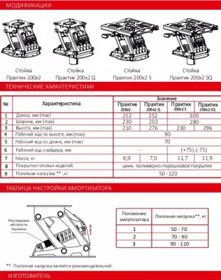 детальная картинка товара амортизационная стойка практик 200x2 q
