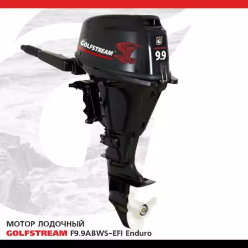 Лодочный мотор F9.9ABWS Enduro EFI (Parsun – PRO) в наличии, купить со скидкой, описание Лодочный мотор F9.9ABWS Enduro EFI (Parsun – PRO) купить с доставкой, в наличии
