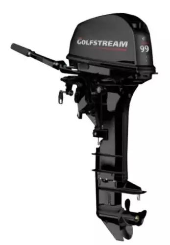 Мотор лодочный GOLFSTREAM T9.9BMS PRO купить с доставкой, в наличии