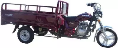 детальная картинка товара мотоцикл racer muravei rc200zh