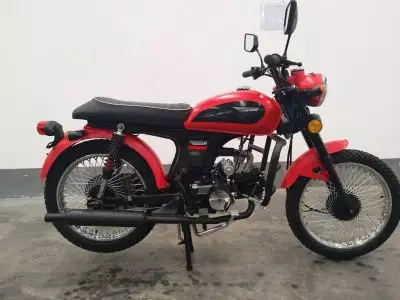 детальная картинка товара мопед vega 110 (49)