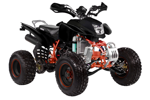 Irbis250S.png Irbis250S.png
