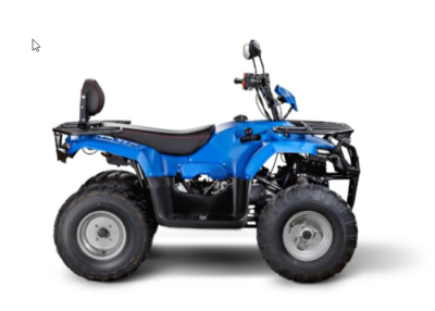 детальная картинка товара квадроцикл irbis atv200 premium