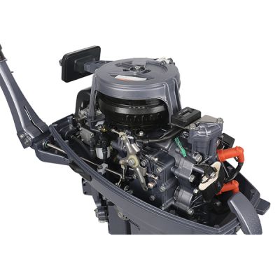Лодочный мотор ALLFA CG T9.9 MAX (20) купить с доставкой, в наличии