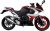 детальная картинка товара мотоцикл racer rc250xzr-a storm