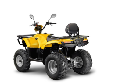 детальная картинка товара квадроцикл irbis atv 250
