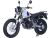 детальная картинка товара мотоцикл scout tw250 pr300